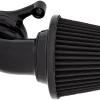ARLEN NESS Monster Sucker? Air Cleaner Kit - Black 81-010